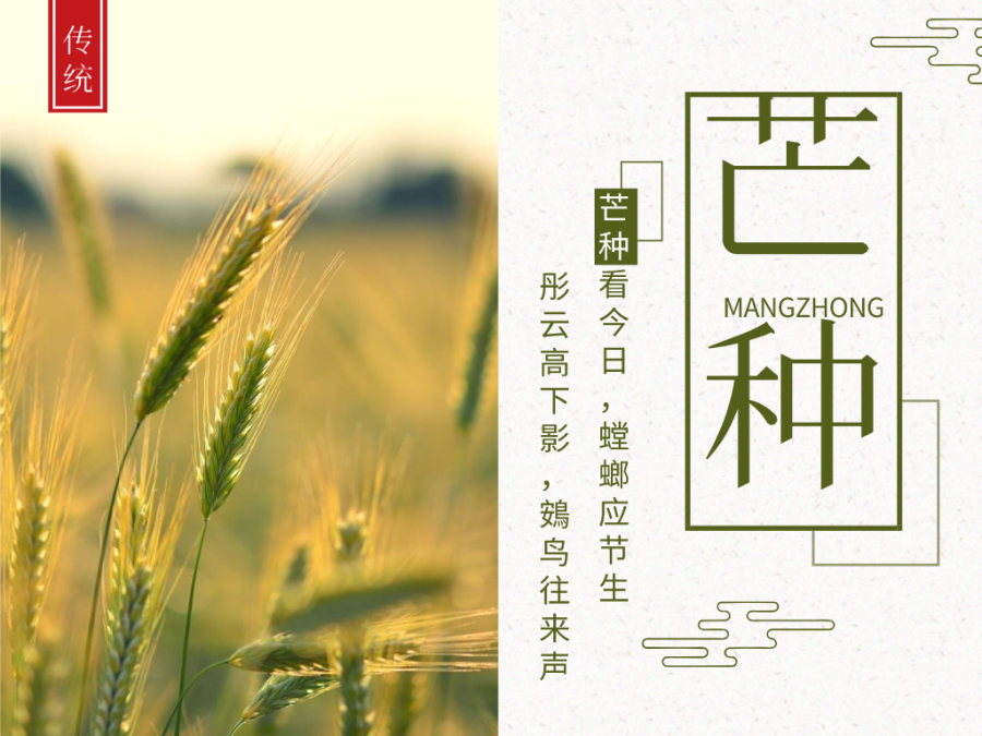 今日芒種，忙有所獲，不負(fù)耕耘！