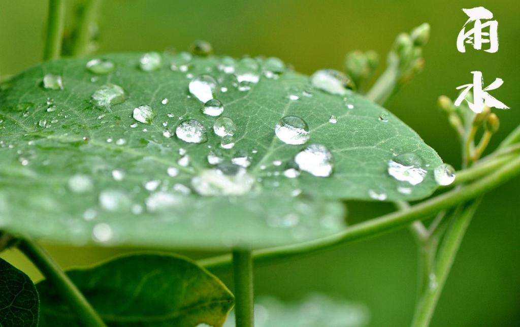 雨水潤(rùn)萬(wàn)物，兼顧沙與泥！